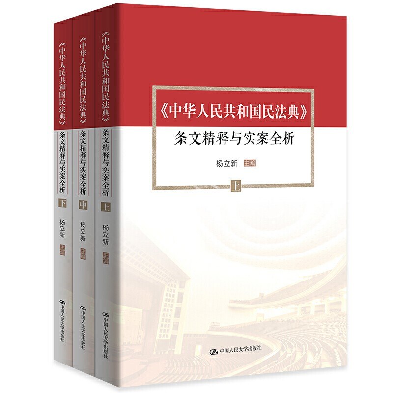 《中华人民共和国民法典》 条文精释与实案全析（上中下）