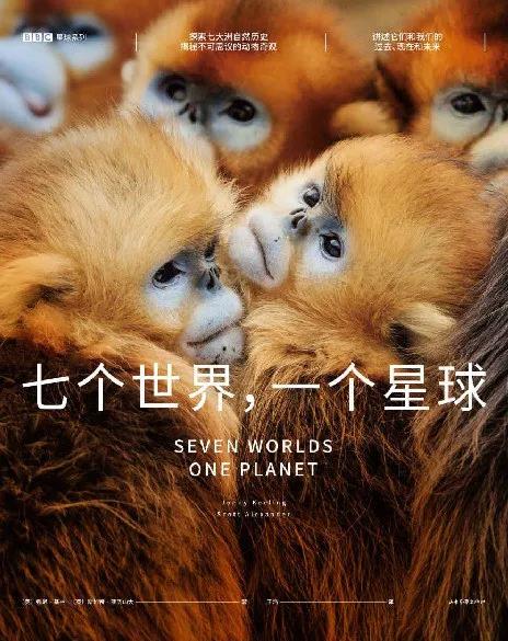 《七个世界，一个星球》强尼·基林大书屋