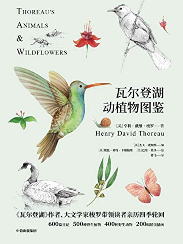 《瓦尔登湖动植物图鉴》亨利・戴维・梭罗大书屋